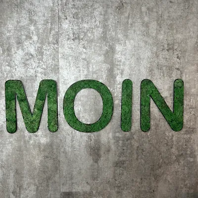 Produktbild von Islandmoos – Set MOIN Grasgrün
