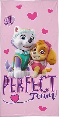 Produktbild von Handtuch, Strandtuch für Kinder, 100 % Baumwolle, Paw Patrol 70x140 13