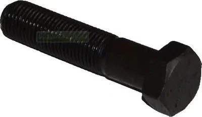 Obrázok produktu pre 44 mm Ø3/8" palcová skrutka pre nôž kosačky Parkside PBRM 43 A1 (PBRM43A1)