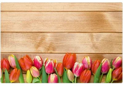 Immagine prodotto di Set di 12 tovagliette lavabili con tulipani colorati effetto legno