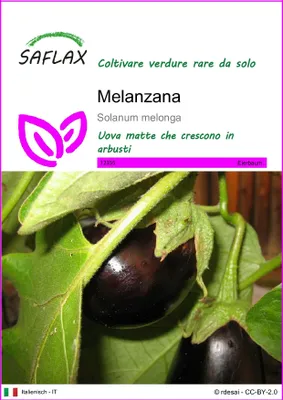Immagine prodotto di SAFLAX  - Melanzana - 20 semi - Solanum