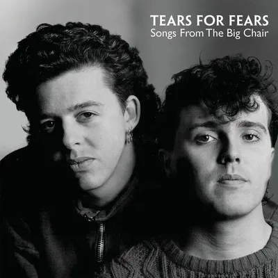 Immagine prodotto di Tears For Fears - Canzoni dalla sedia grande (LP)