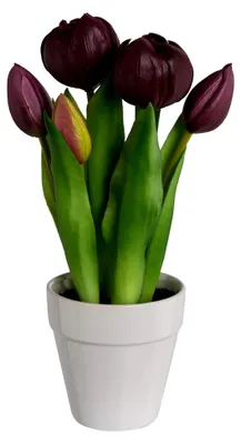 Produktbild von Kunstpflanze, Blume TULPE gefüllt 26 cm im weißen Keramiktopf