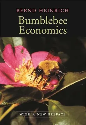 Obrázek produktu pro Bumblebee Economics
