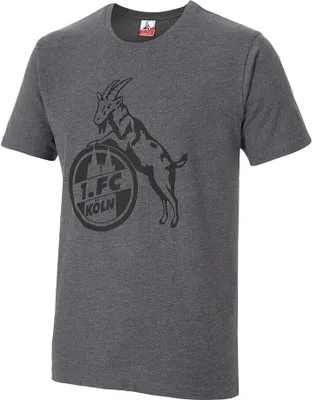 Produktbild von 1. FC Köln T-Shirt "Basic anthra" Gr. 5XL