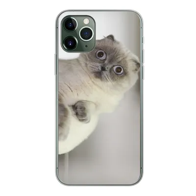 Produktbild von MuchoWow® Handyhülle Schutzhülle Hülle für iPhone 11 Pro Katze - Tier - Wohnzimmer Silikon Softcase Handy Hülle - Handy