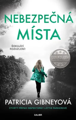 Zdjęcie produktu dla Nebezpečná místa (Gibneyová Patricia)