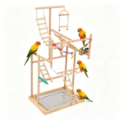 Image de Support en bois pour oiseaux, avec échelle et balançoire
