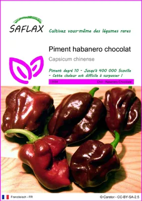 Image de SAFLAX - Piment habanero chocolat - 10 graines - Capsicum