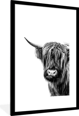 Produktbild von MuchoWow® Gerahmtes Poster Ein schottischer Highlander auf einem weißen Hintergrund - schwarz und weiß 60x90 cm - Poster mit Schwarzem Bilderrahmen Wandposter Rahmen Foto Bilder - Dekoration - Wandposter Wohnzimmer - Hochwertig