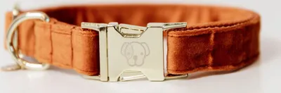 Produktbild von Kentucky Dogwear Velvet Dog Collar Hundehalsband