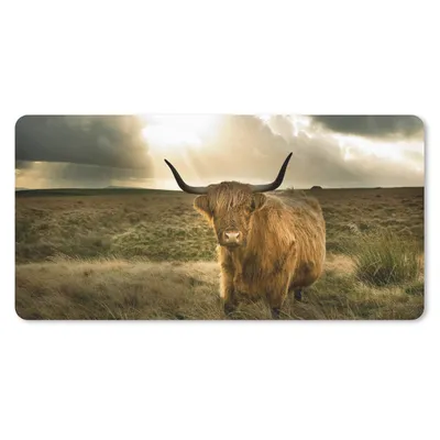 Produktbild von MuchoWow® Mauspad Mousepad Schottischer Hochländer - Sonne - Tiere 60x30 cm - Mousepads - Maus Mat - Pad - Mausunterlage - Nachhaltig