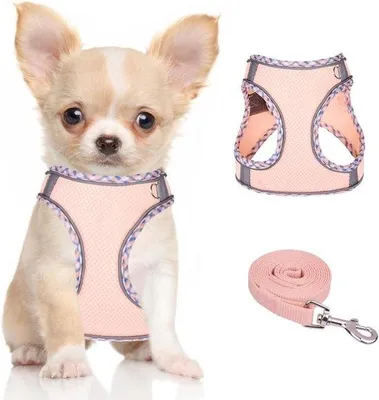 Produktbild von Famanu Hundegeschirr - Verstellbares, Atmungsaktives Harnes für Kleine und Mittlere Hunde - Mesh für Training und Spaziergänge