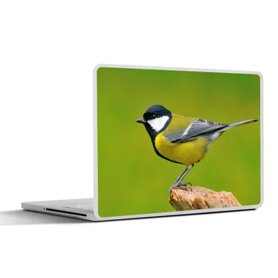Produktbild von MuchoWow® Laptop Aufkleber Sticker Cover Vogel - Kohlmeise - Tiere - Grün 36.5x27.5 cm - Laptop-Sticker