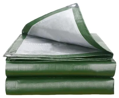 Immagine prodotto di Omgoods - Telo protettivo impermeabile - 2 x 4 metri con occhielli, trasparente, verde