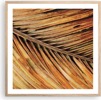 Produktbild von Gerahmtes Poster - Rahmen in heller Eiche - Orange Blatt Tropisch - 60x60 cm - Wand Bild - Wanddeko - Wandbilder - Kunstposter - Wandposter - Bilderrahmen - Bilder - Kunstdruck - P2NAC60x60-4876