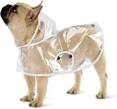 Produktbild von Ducomi Dogalize Regenmantel für Hunde mit Kapuze aus transparentem Nylon – Regen