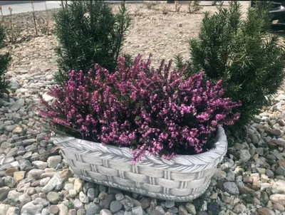 Produktbild von Blumenkübel Pflanz Kübel Dekoration Figur Blumentöpfe Garten Vasen Gefäss 204111