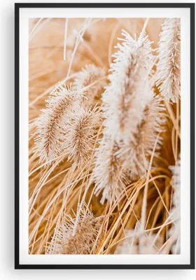 Produktbild von Gerahmtes Poster - Schwarzer Rahmen - Gras Boho Licht - 61x91,5 cm - Wand Bild - Wanddeko - Wandbilder - Kunstposter - Wandposter - Bilderrahmen - Bilder - Kunstdruck Wanddekoration - P2BPA61x91-4903