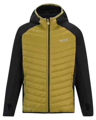 Produktbild von Regatta - "Andreson" Steppjacke für Kinder, Hybrid RG12823 (128) (Schwarz/Holzbraun)