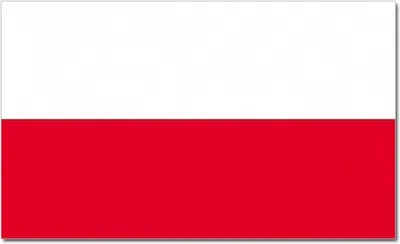 Produktbild von Go Go Gadget - Flagge Polen - 90*150cm