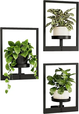 Produktbild von Wandbehang Pflanzgefäße für Zimmerpflanzen 3 Set Wand Blumenständer Moderner