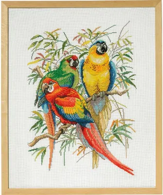 Produktbild von Eva Rosenstand Kreuzstich Set "Papageien I", Zählmuster, 44x54cm