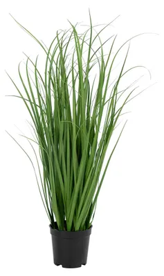 Immagine prodotto di Erba poa artificiale verde H 68 cm