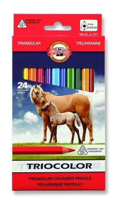 Produktbild von Triocolor 3144 Dreieckige Buntstifte 24 Farben 9Mm 7427