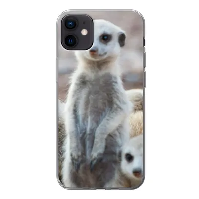 Produktbild von MuchoWow® Handyhülle Schutzhülle Hülle für iPhone 12 mini Neugierige Erdmännchen Silikon Softcase Handy Hülle - Bild