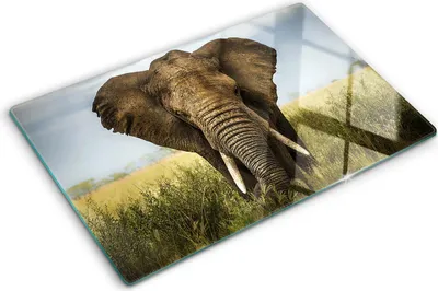 Produktbild von Tulup Glas Herdabdeckplatte - 80x52 cm - Glaskeramikkochfeld-Abdeckung Spritzschutz Glasabdeckplatte - Einteilig - Tiere - Elefant Savanne - Braun