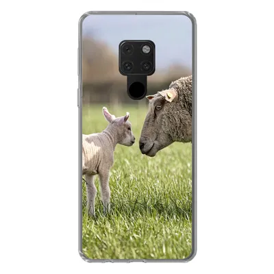 Produktbild von MuchoWow® Handyhülle Schutzhülle Hülle für Huawei P40 Lite Schafe - Gras - Lamm Silikon Softcase Handy Hülle - Handy