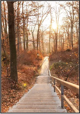 Produktbild von Wallario Wandbild Weg in den Sonnenuntergang, Größe: 70,30 x 100,30 cm, Poster mit schwarzem Aluminiumrahmen