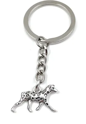 Produktbild von Onwomania Laufender Hund Haustier Schlüsselanhänger Metall Glücksbringer in Alu Geschenkbox, ideal zum Verschenken