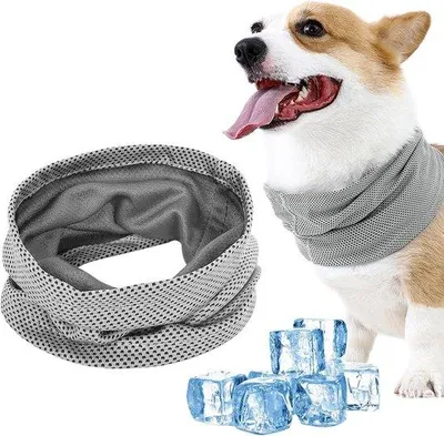 Produktbild von Famanu Kühlhalsband für Hunde - grau, Größe L, selbstkühlend, ideal für heiße Tage