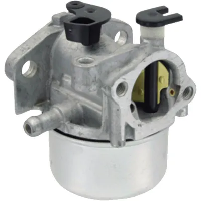 Obrázek produktu pro Karburátor pro sekačku Briggs Stratton 799871