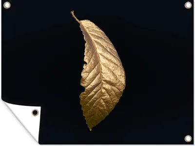 Produktbild von MuchoWow® 40x30 cm Outdoor-Poster Gartendeko Sichtschutz Garten Poster für den Garten  Blätter - Luxus - Gold - Schwarz - Natur