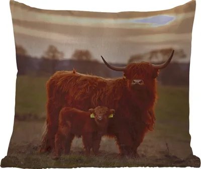 Produktbild von MuchoWow® Outdoor Kissen - Schottische Hochlandrind - Tiere - Landschaft - Sonnenuntergang - Kuh - 45x45 cm - Wetterfest - Lounge Kissen - Fotokissen - Dekoratives Kissen