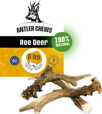 Produktbild von RF - DEER Rehbockgeweih S 20-60g 7-13cm Hard natürliches Geweih, Öko Kausnack für Hunde, gesundes Kauspielzeug, Kauknochen für Genuss, Zahnpflege