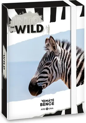 Obrázek produktu pro Ars Una Box na sešity Zebra A5