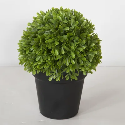 Produktbild von Fink BUCHSKUGEL, Kunstblume, Kunststoff, grün, L. 18 cm, B. 18 cm, H. 23 cm, D. 18 cm 187398