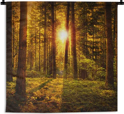Produktbild von MuchoWow® Wandteppich Wandbehang Wald - Sonne - Bäume - Natur - Sonnenuntergang 90x90 cm Tapisserie Dekoration Wandtuch - Wandaufhänger