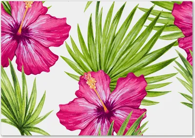 Produktbild von Tulup® Glas-Bild - 100 x 70 - Wandbild aus Glas - Wandkunst - Wandbild hinter gehärtetem Sicherheitsglas - Blumen & Pflanzen - Hawaii Blumen - Rosa