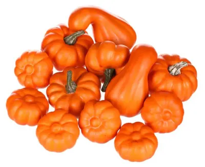 Obrázek produktu pro Autronic Dýně plastová, mix (12 ks) PRZ3720