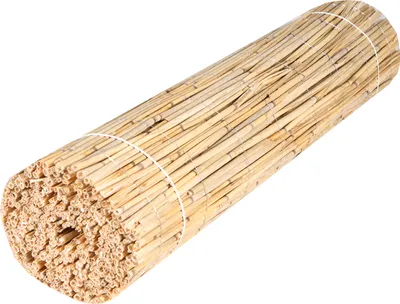 A rolled-up mat made of reeds or bamboo, tied with white string, against a white background.