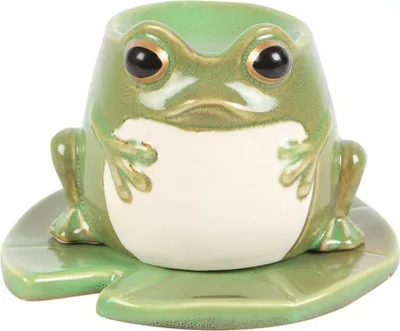Image de Something Different - Brûleur à mazout "Enchanted Forest", Grenouille SD5979 (Taille unique) (Vert)