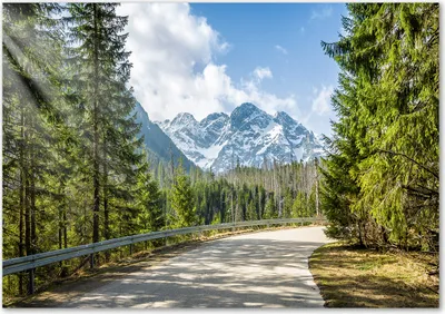 Produktbild von Tulup® Leinwandbild - 100x70 cm - Wandkunst - Drucke auf Leinwand - Leinwanddruck  - Landschaften - Grün - Straße Tatra-Gebirge