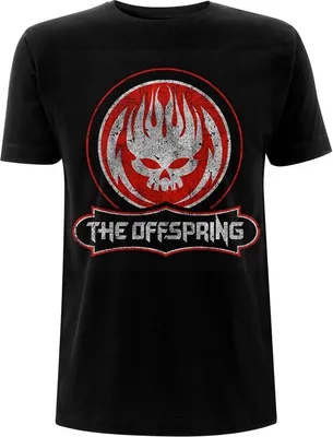 Produktbild von The Offspring Distressed Skull Black S T-Shirt