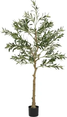 Produktbild von Kuenstliche Gruen 15x15x150cm Olivenbaum 150cm 720 Blaetter 40 Oliven Stabiler Blumentopf Dekorationspflanze