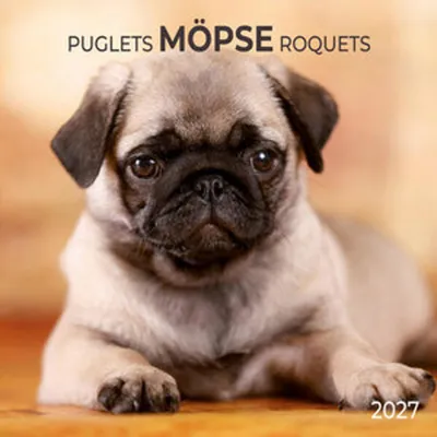 Produktbild von Wandkalender Möpse / Puglets 2027, 30x30 cm, mit Poster